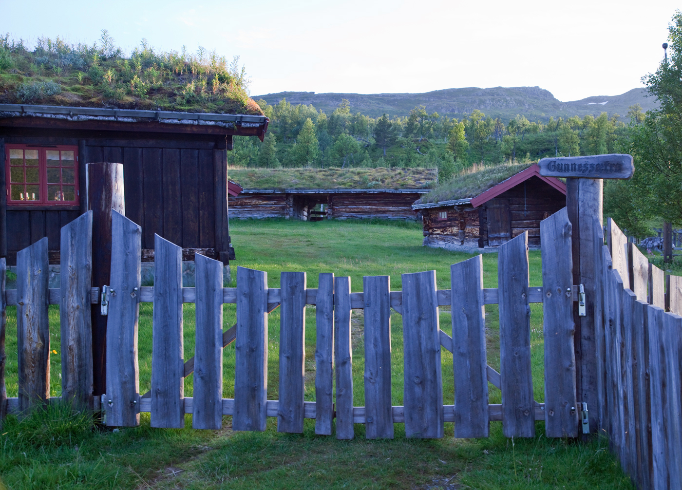 170719b-Gunnessetra.jpg
