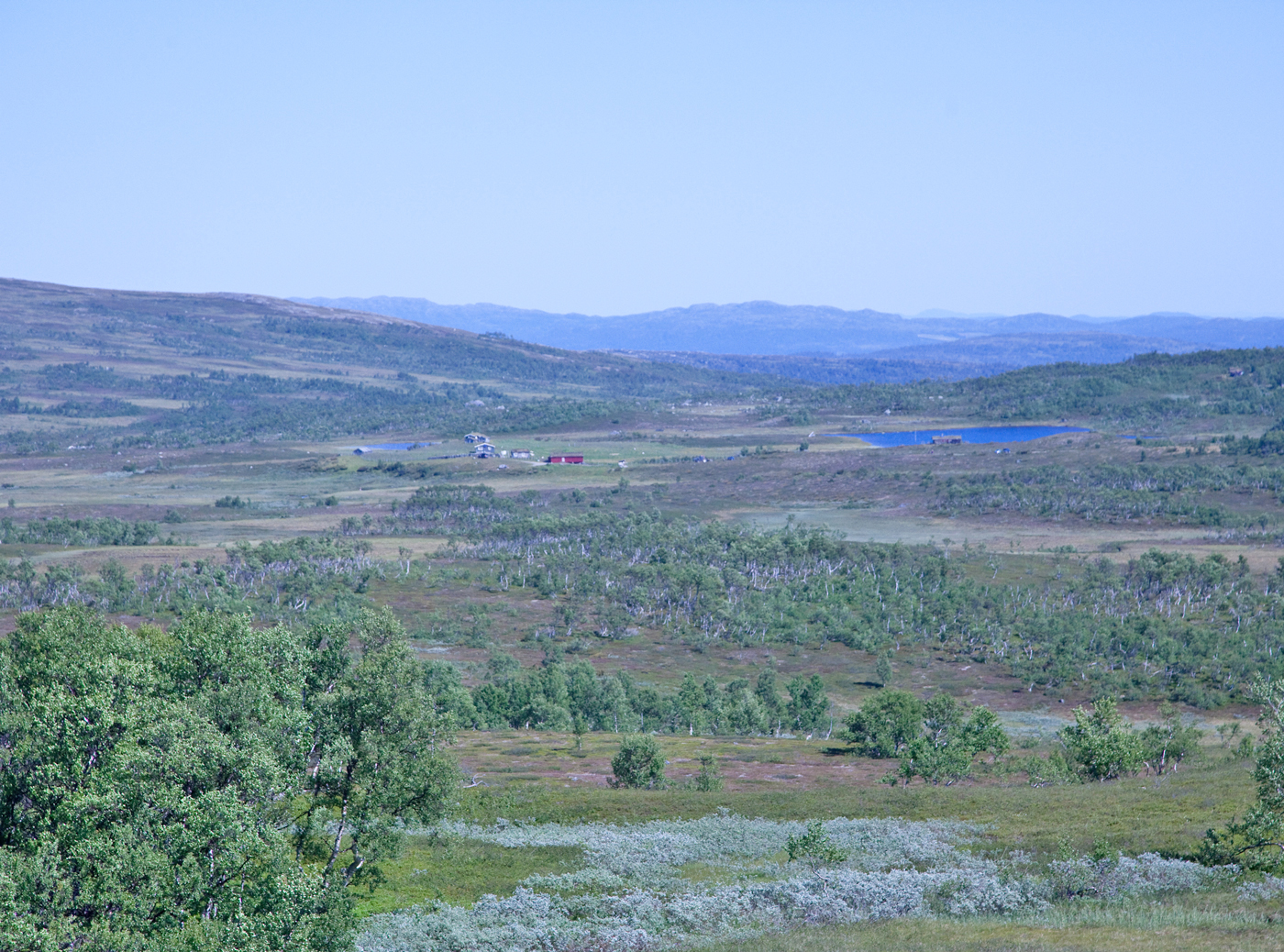 170721c-Heldalen.jpg