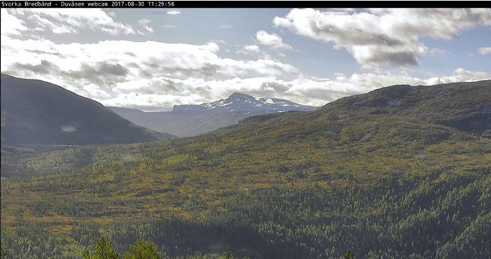 Snota webcam 300817