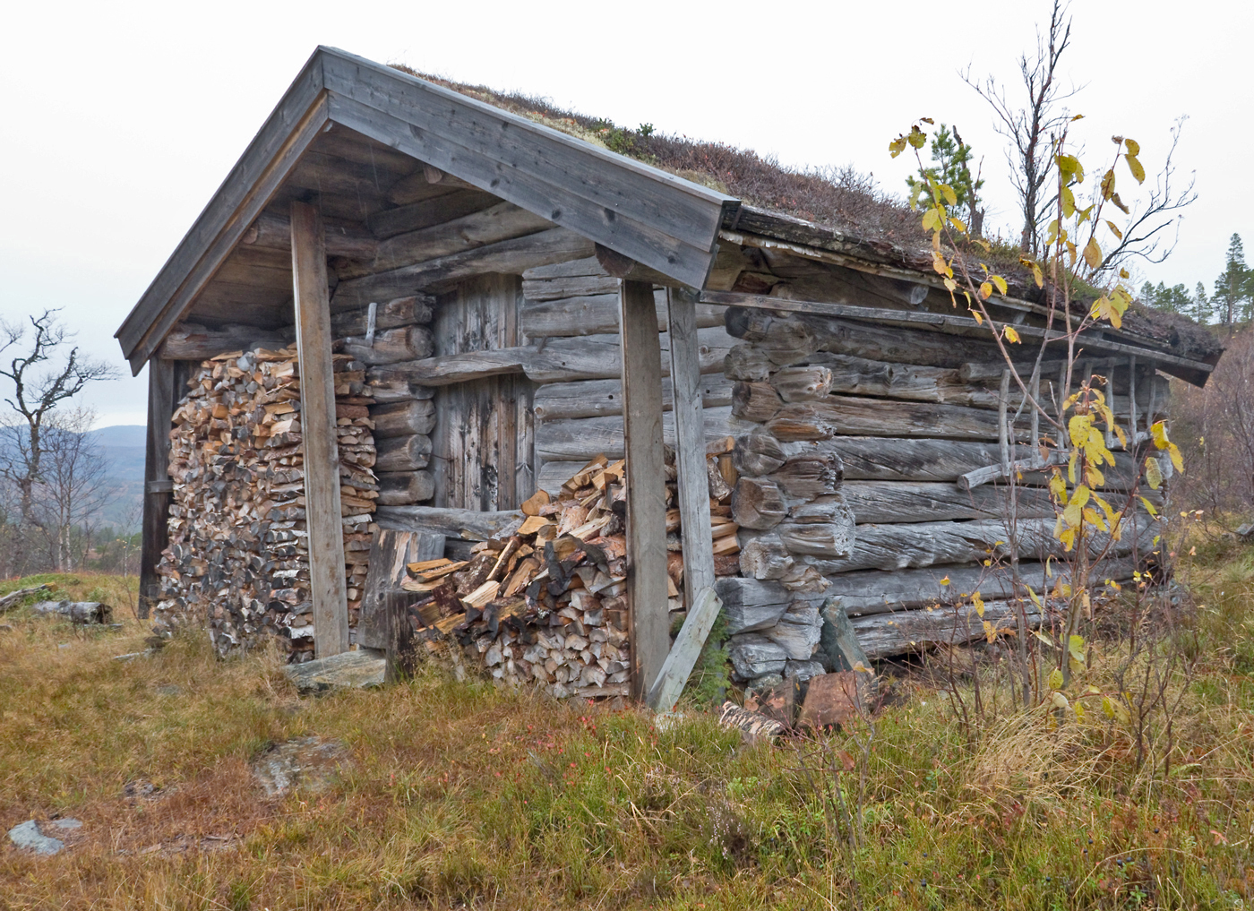 171017f-løe.jpg