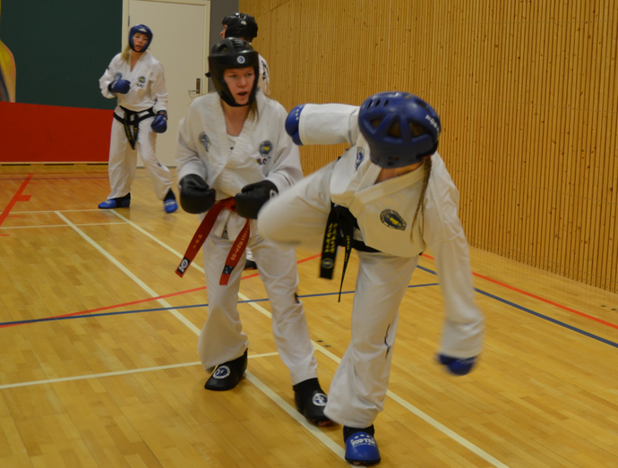 tkd2_690x523.png