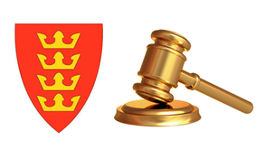 Politiske møter - bilde
