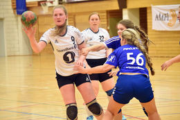 melhus forsvar2