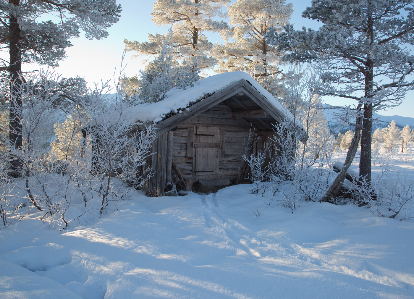 171121e-løe.jpg
