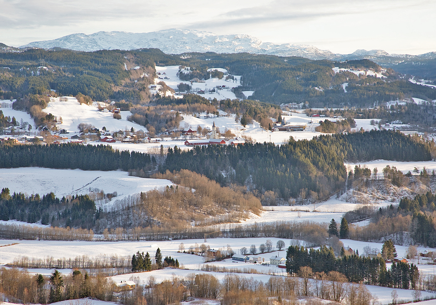 171126b-Rindal.jpg