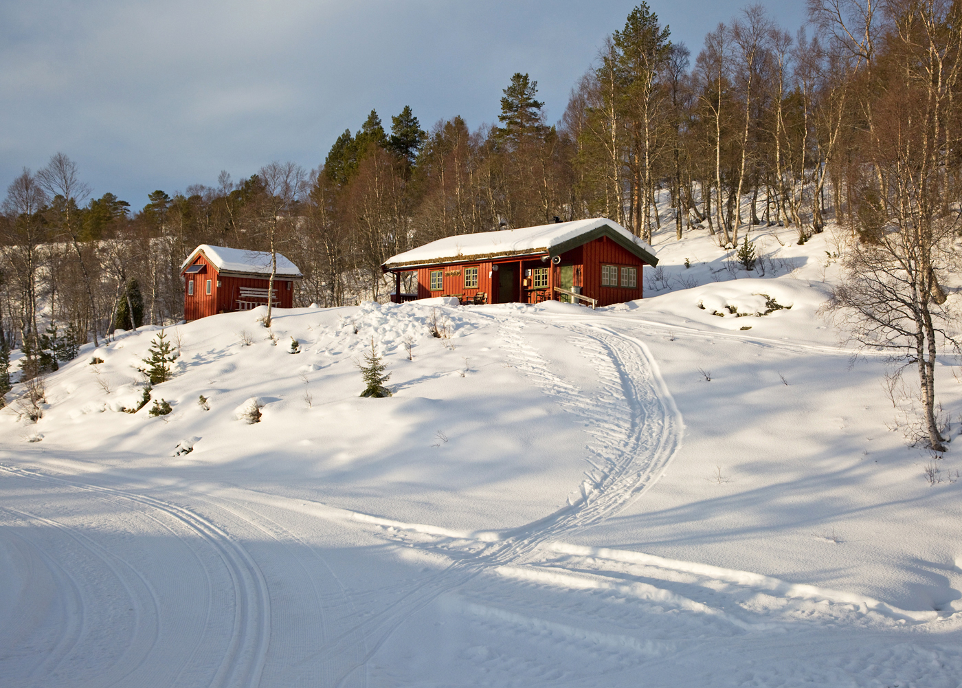 171126e-Tørsåsløa.jpg
