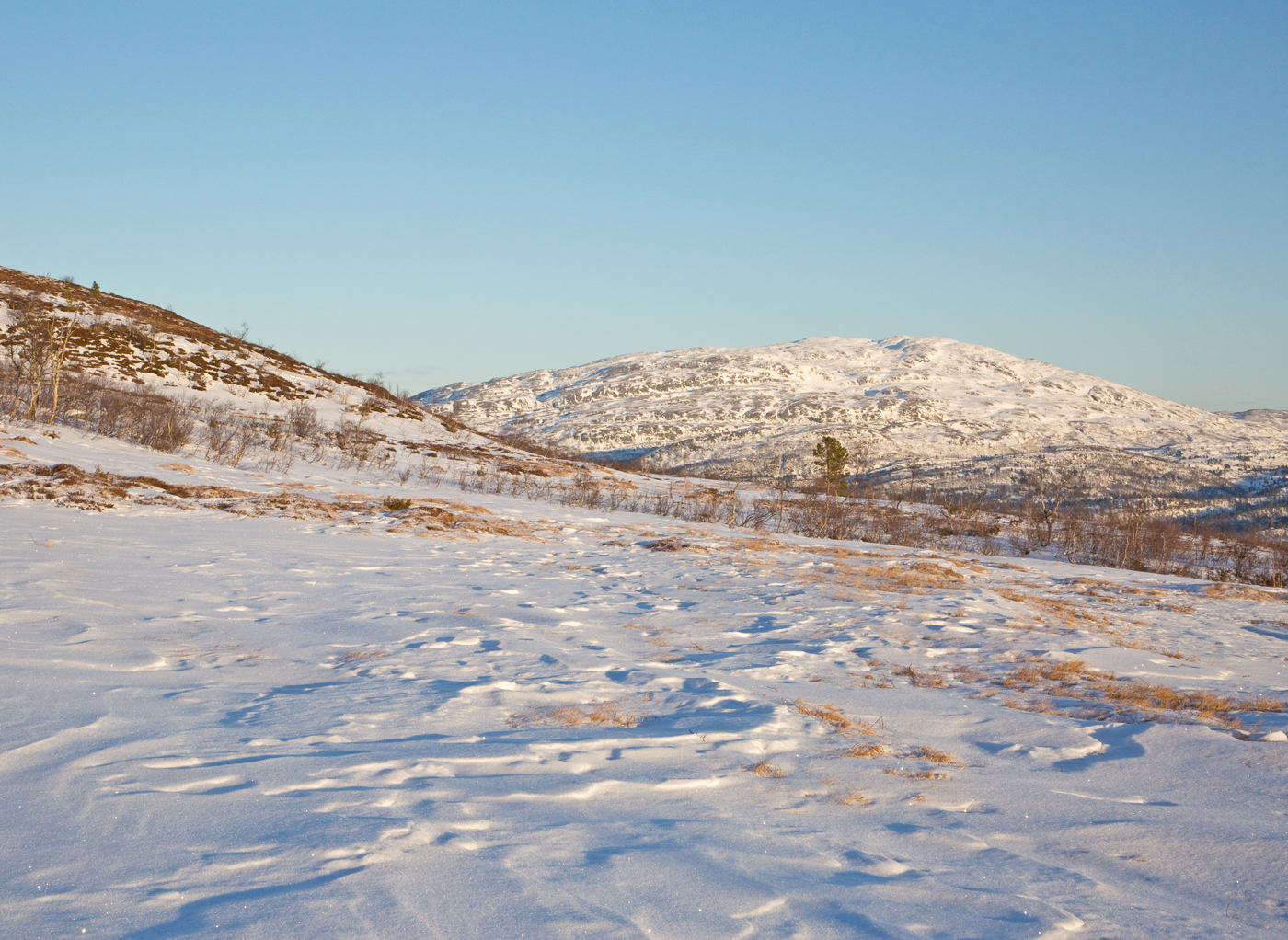 171130f-skiføre.jpg