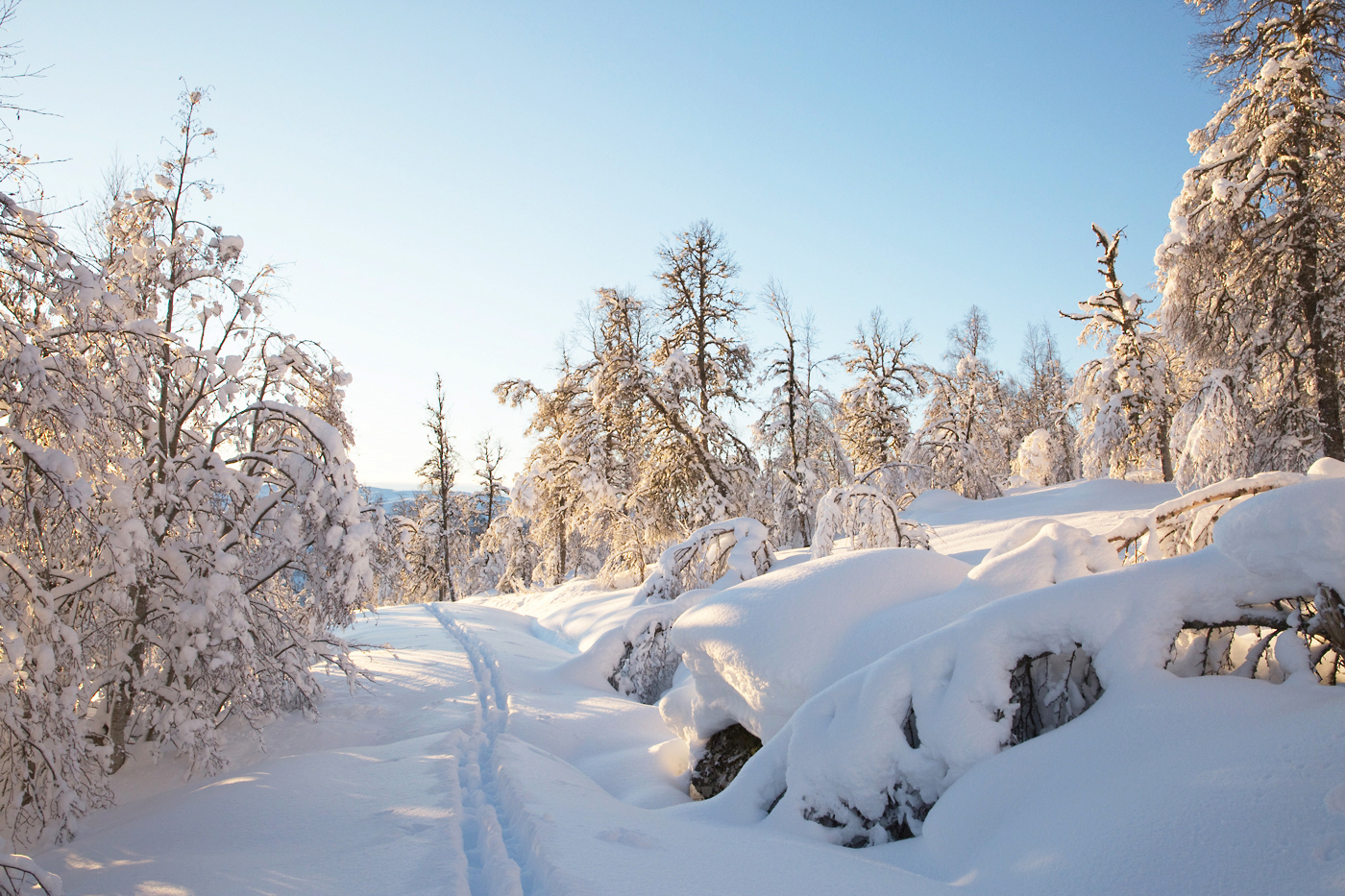 171211e-skispor.jpg