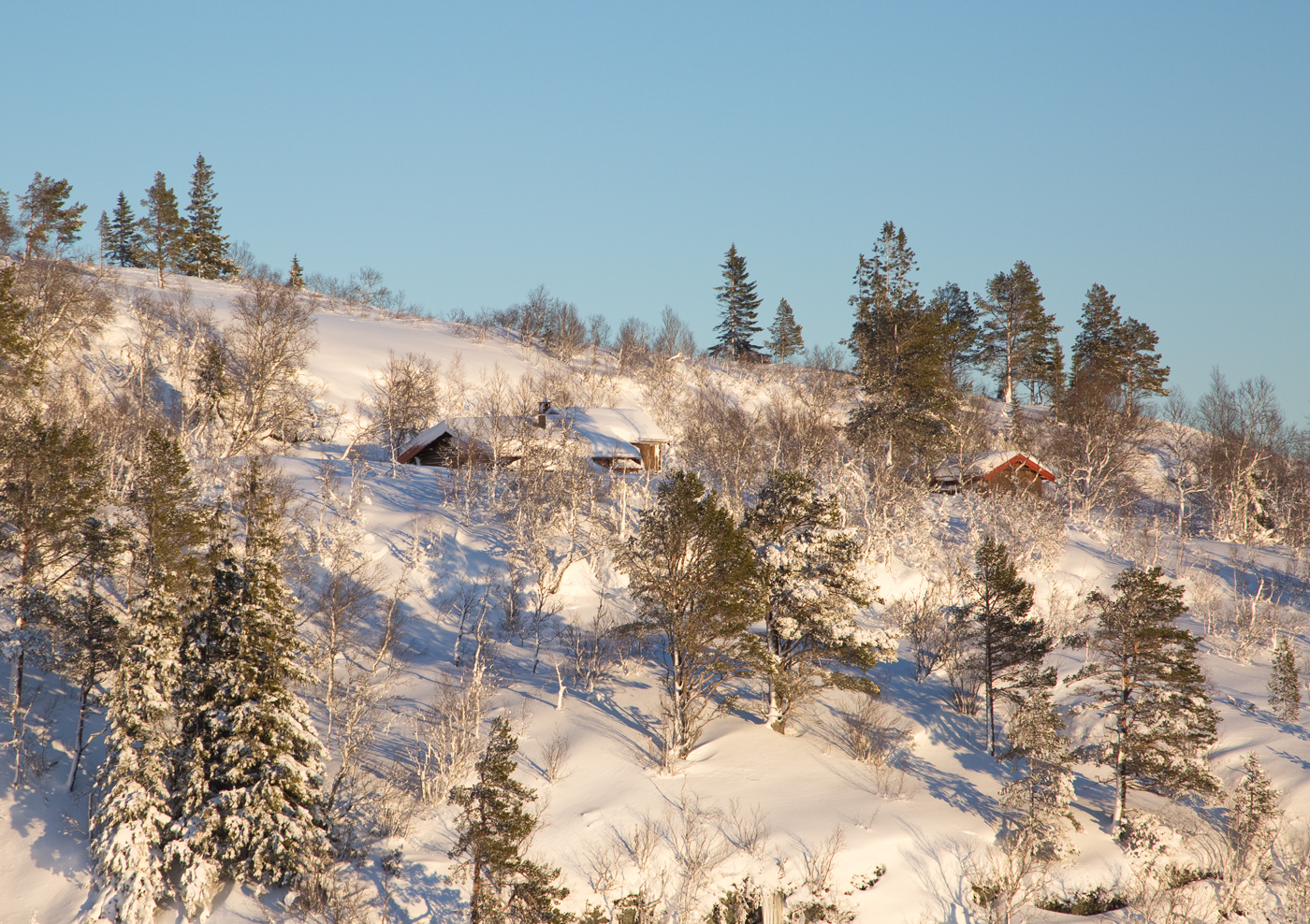171211h-seter1.jpg
