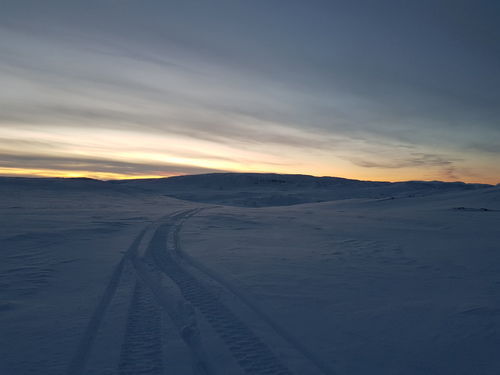 Foto: Anders Nysveen
