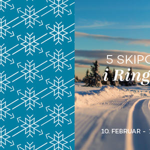 Fem skiposter