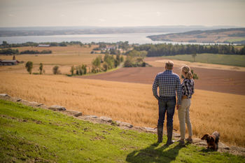 Utsikten fra Ousdal gård.