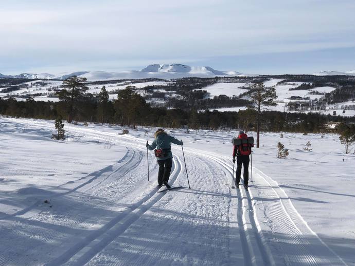 Nerskogen, Leverdalen Anne_690x518.jpg