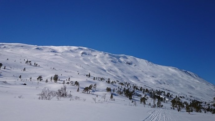 Røde kors påske 2018[1].JPG