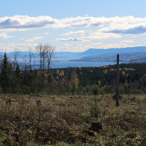 Utsikt over Mjøsa