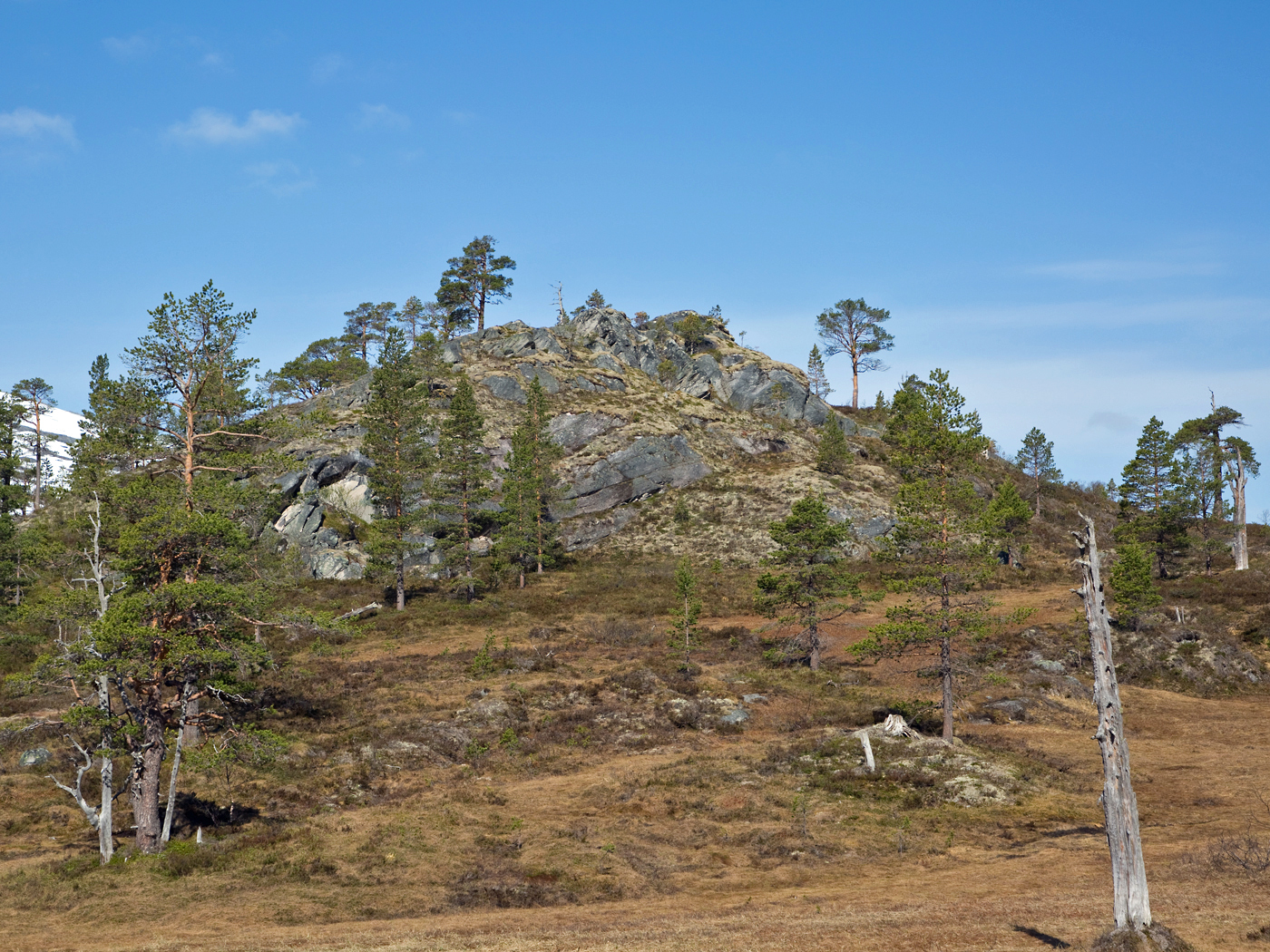 180517b-Gråhaugen.jpg