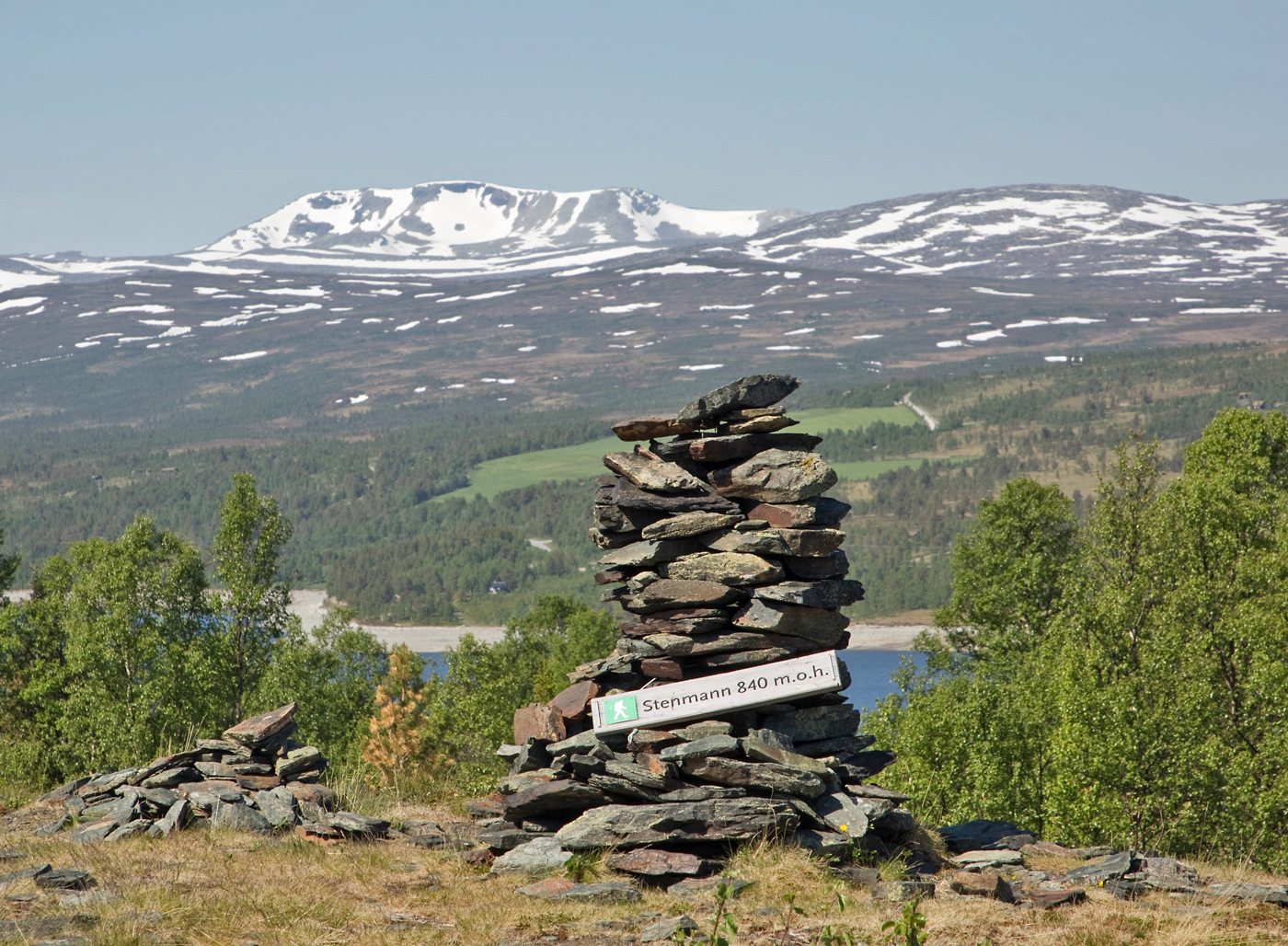 180530c-Stenman.jpg