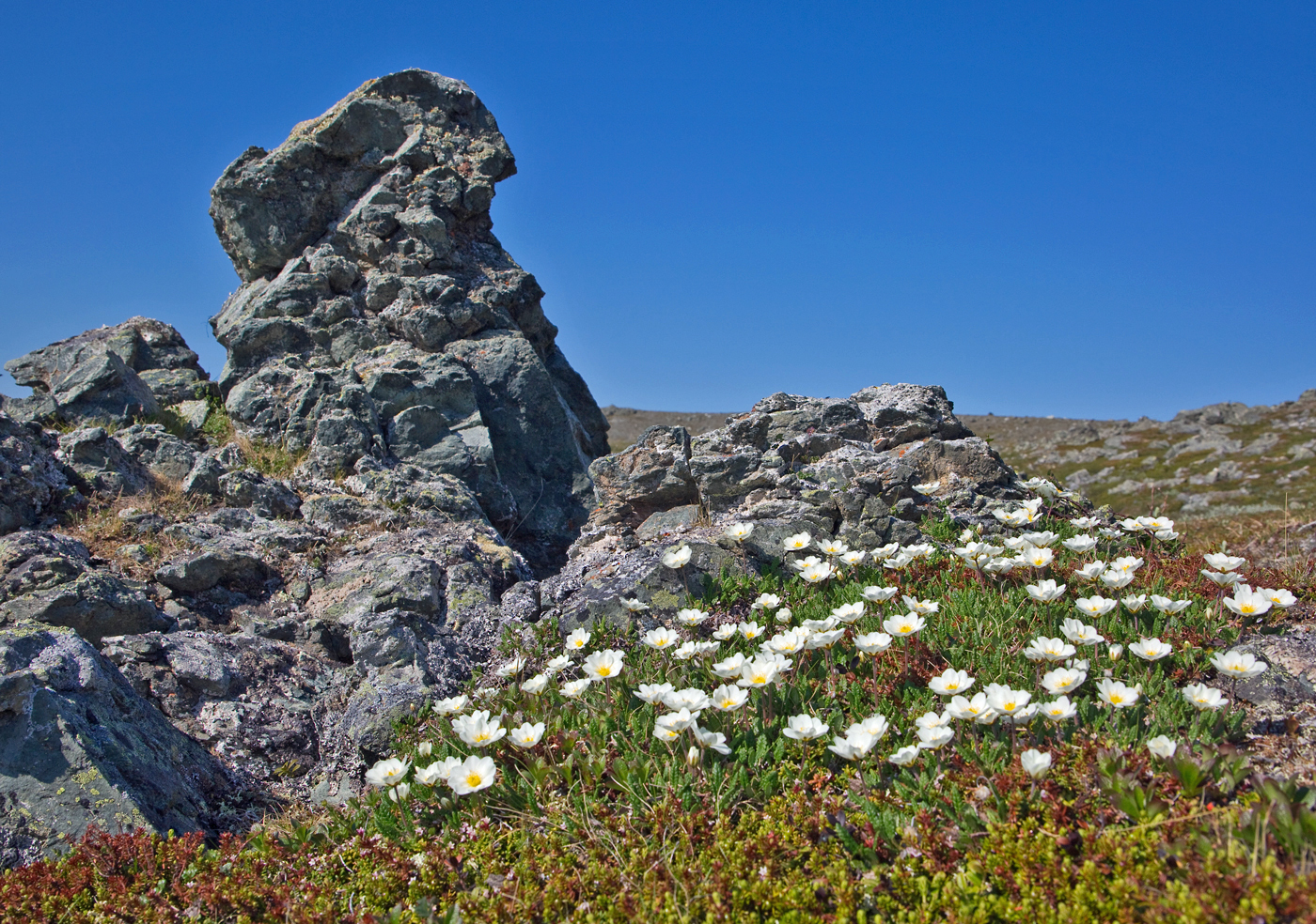 180530n-stein.jpg