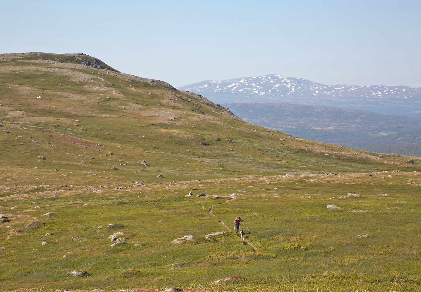 180530i3-Refshuskollen.jpg