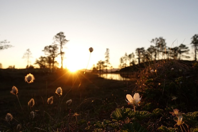 2018-05-29 Furuknatten og solnedgangstur m Siv og Mona 049.JPG