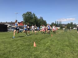 Startfeltet i junior- og seniorklassen som løper 6 km