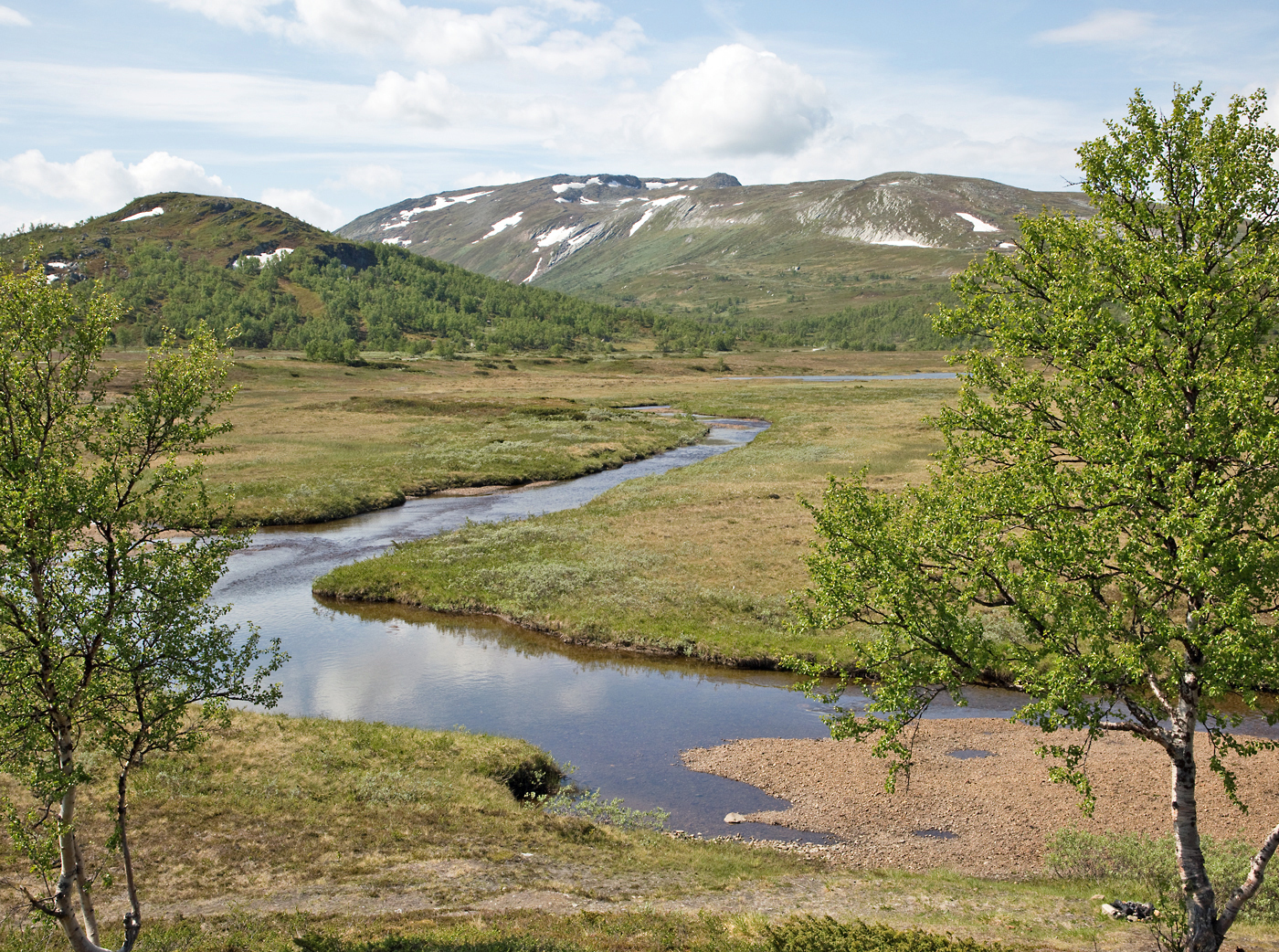180610l2-Svahøa.jpg