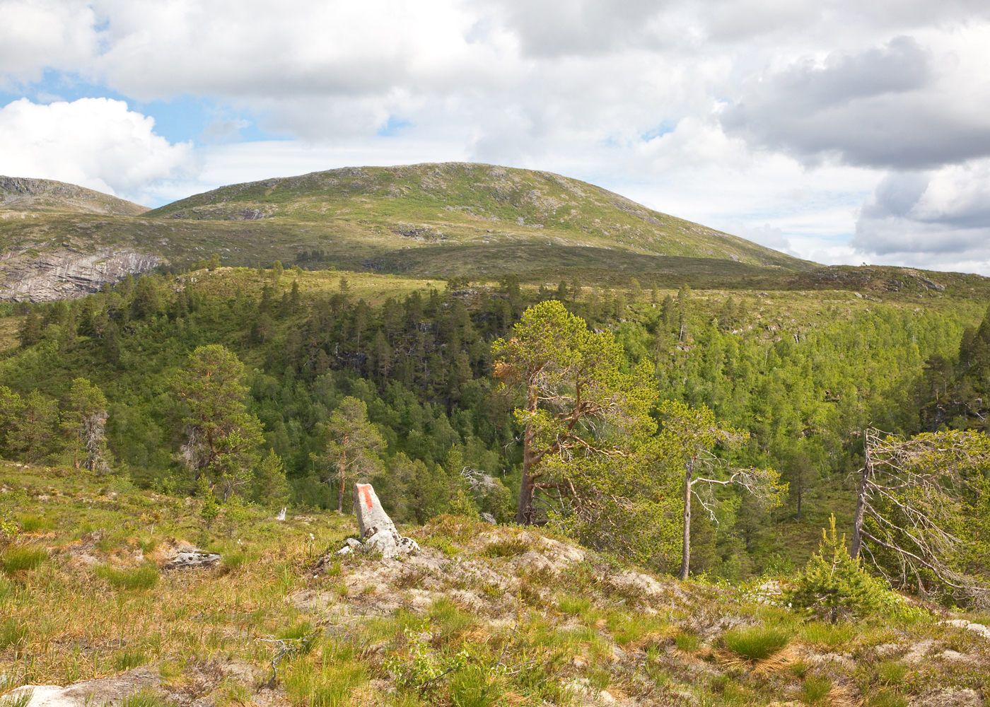 180616c-målet.jpg