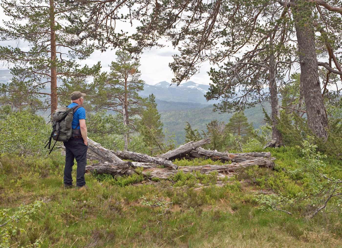 180616f-høyløe.jpg