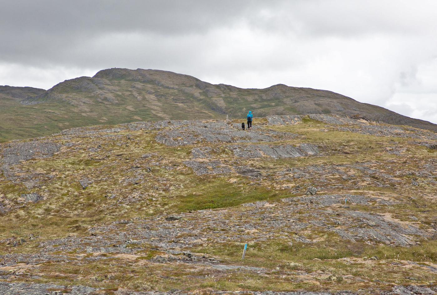 180707e2-Langskarven.jpg