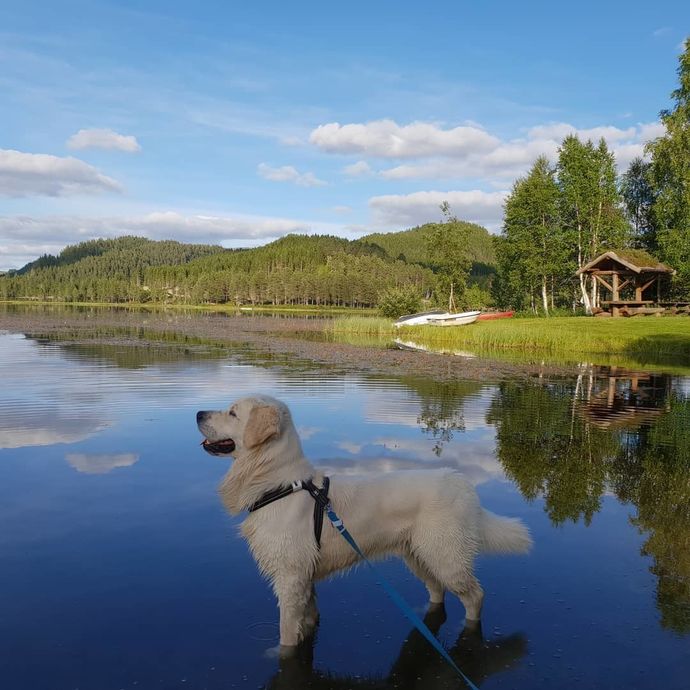 090718 linethf09 Tjønna