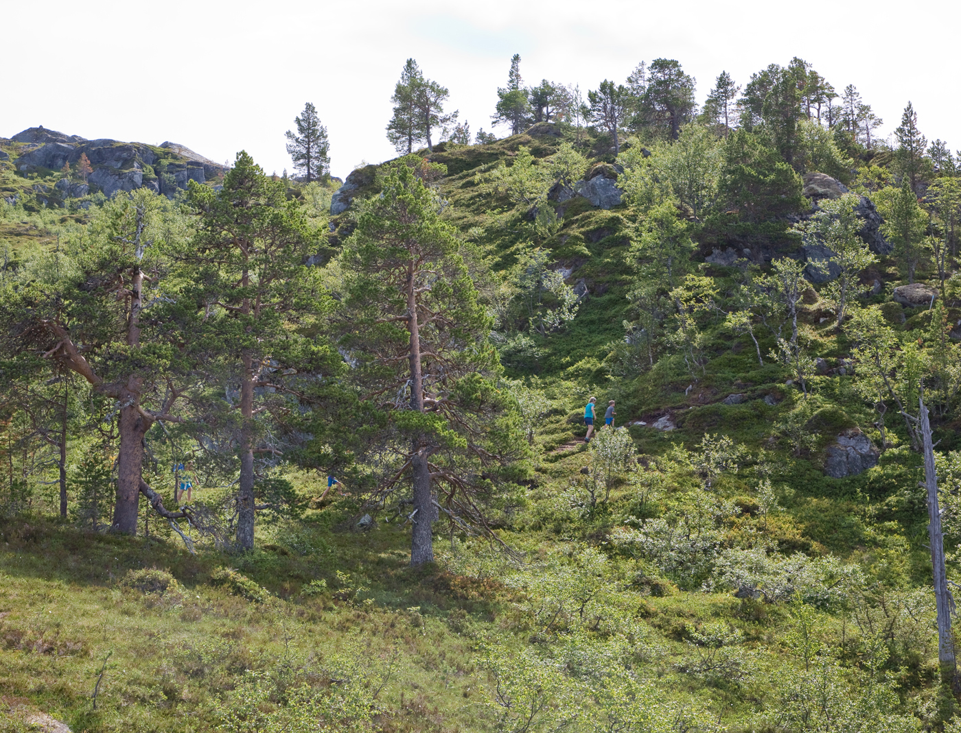 180717b-Halsen.jpg