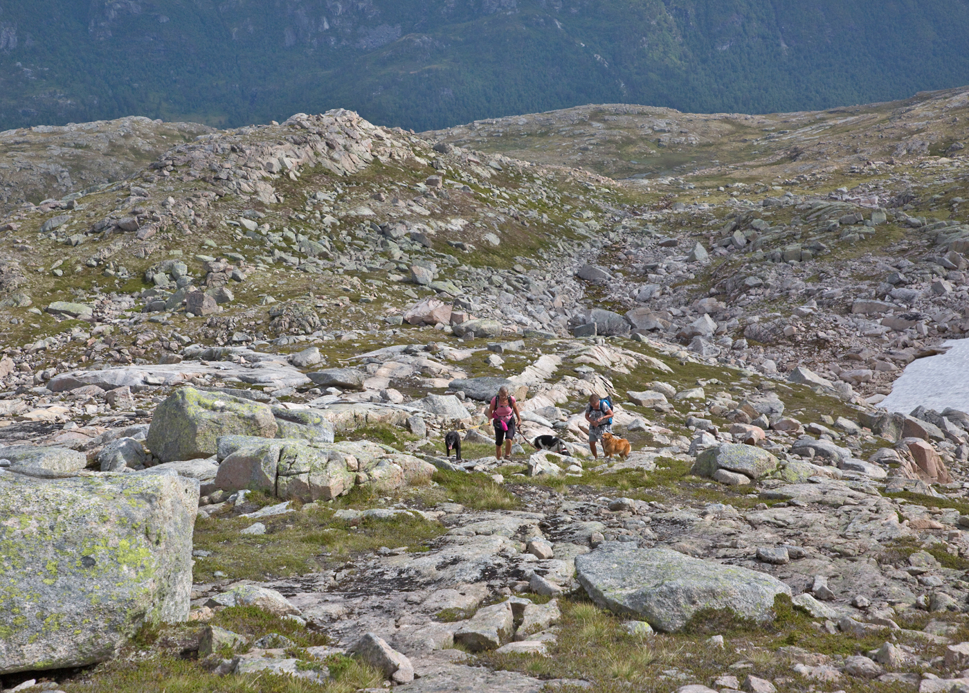 180724c-snaufjell.jpg