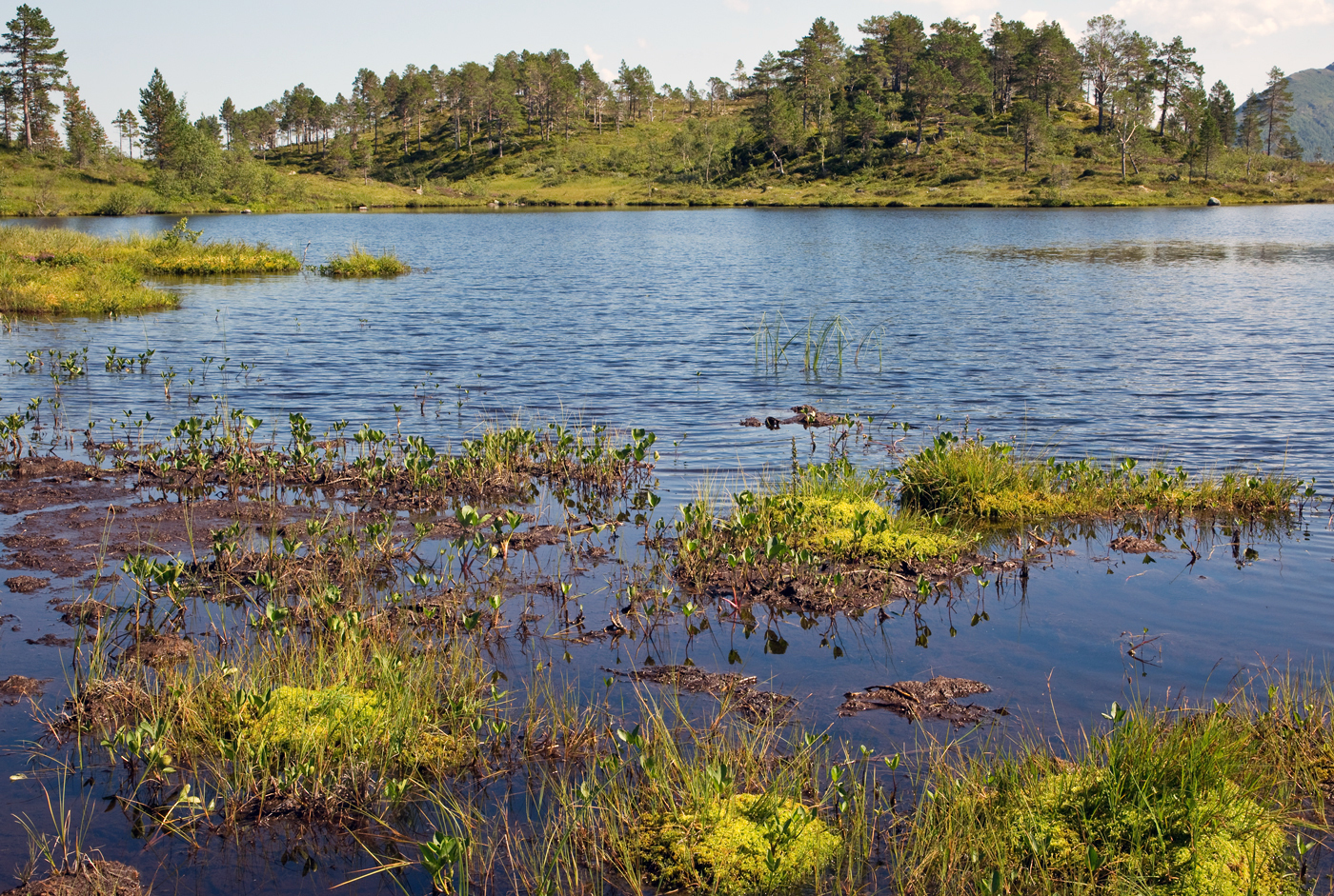 180727p-Lomtjønna.jpg