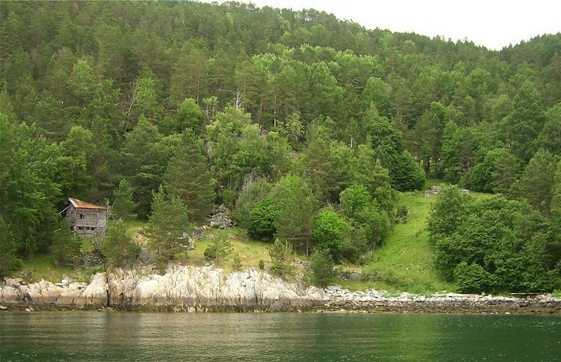 Fjordtur g Båtvika