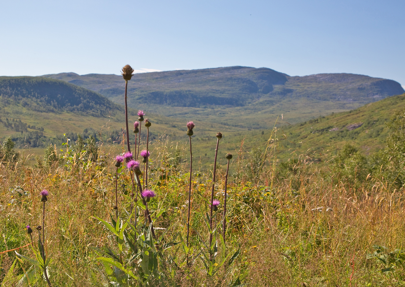 180731k-stølen.jpg