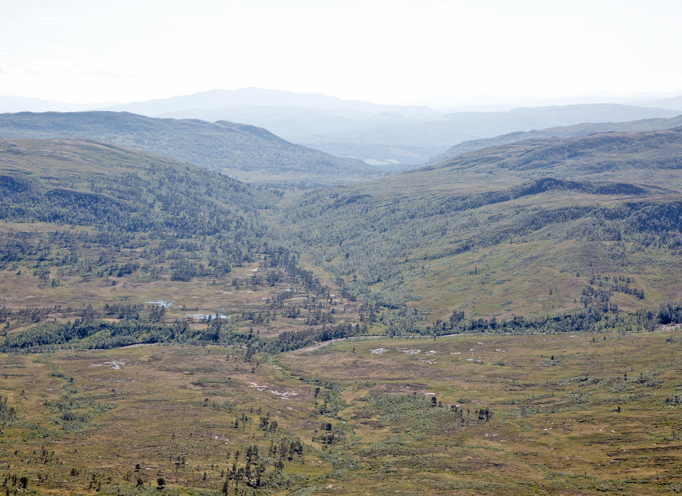 180731p2-Ljøsådalen.jpg