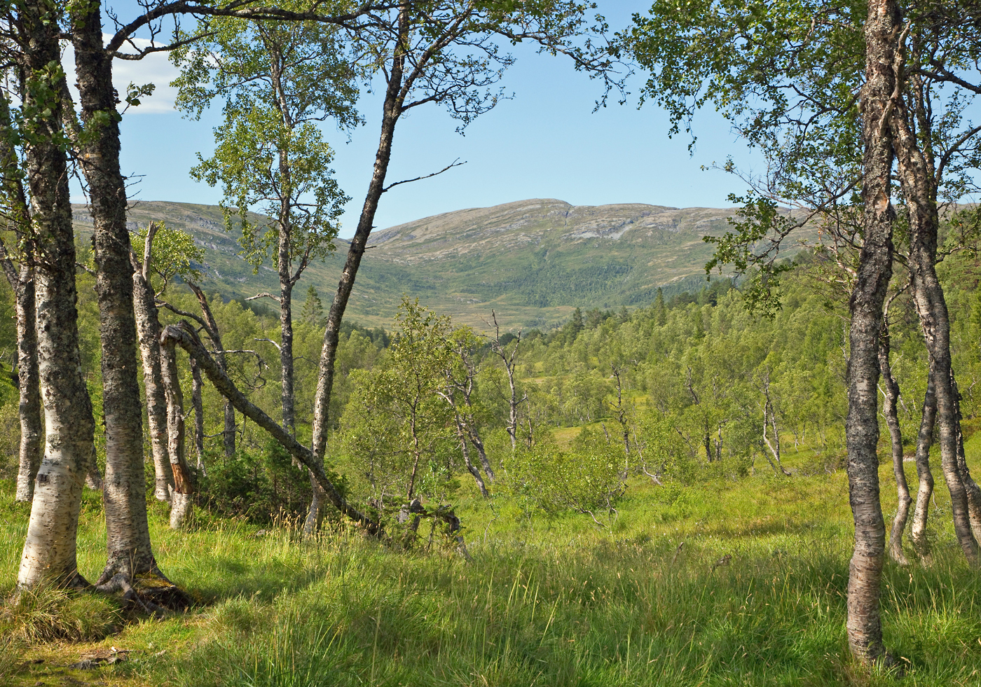 180731s-tilbakeblikk.jpg