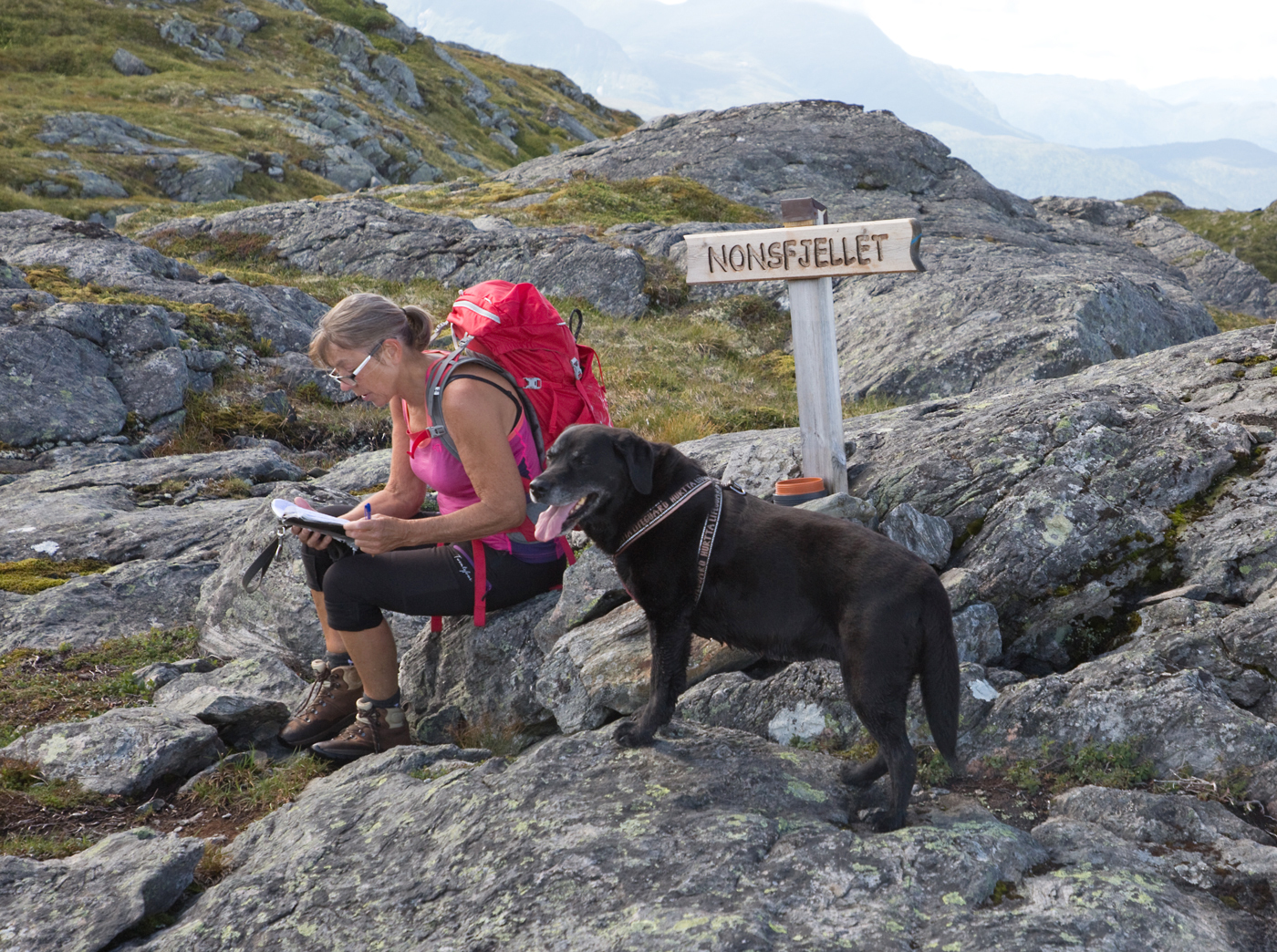 180809e-Nonsfjellet.jpg