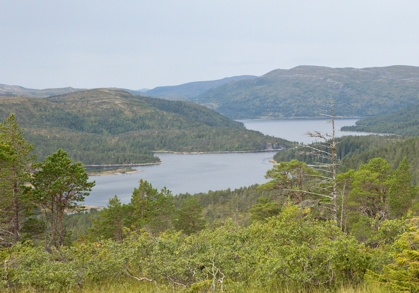 180815e-Våvatnet.jpg