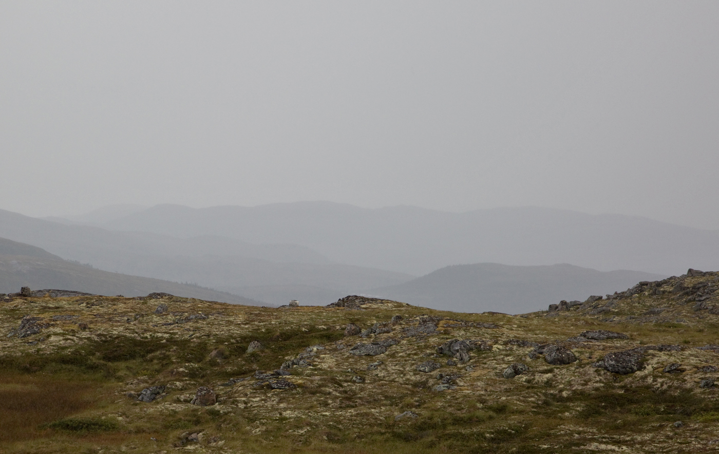 180815l-skodde.jpg