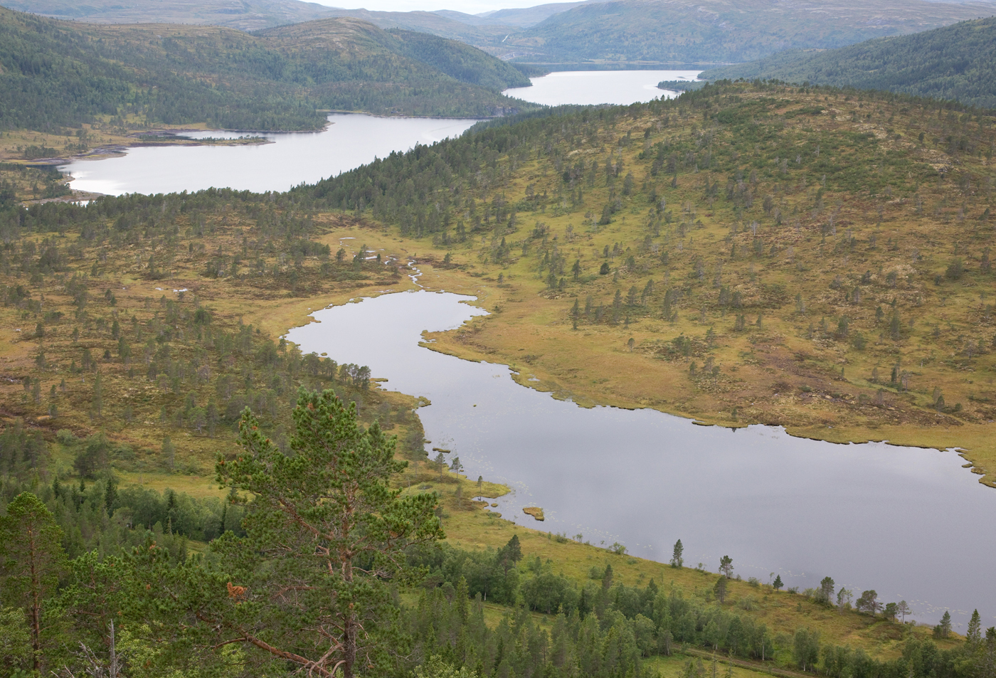 180815n-utsikt.jpg