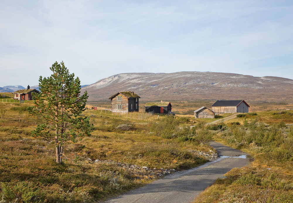 180907a2-Jøldalen
