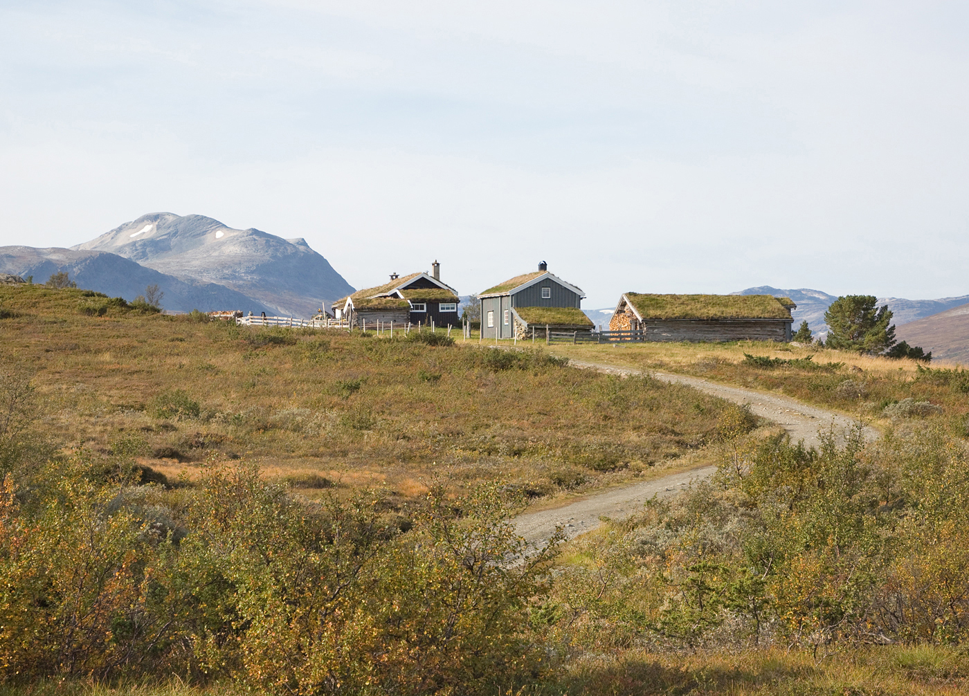 180907c2-Jølhaugen.jpg
