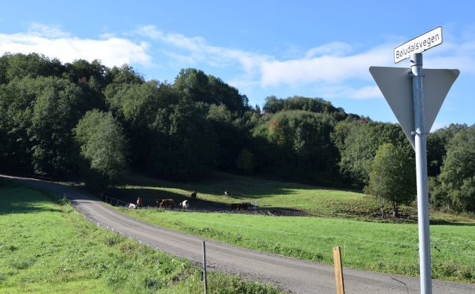 Bøludalsvegen ill