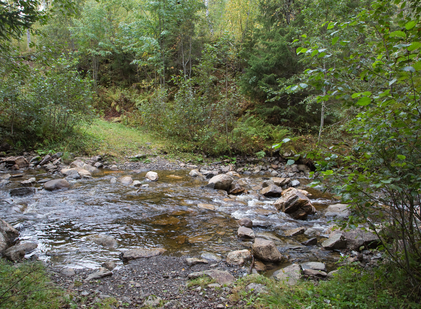 180914d-Sansåa.jpg