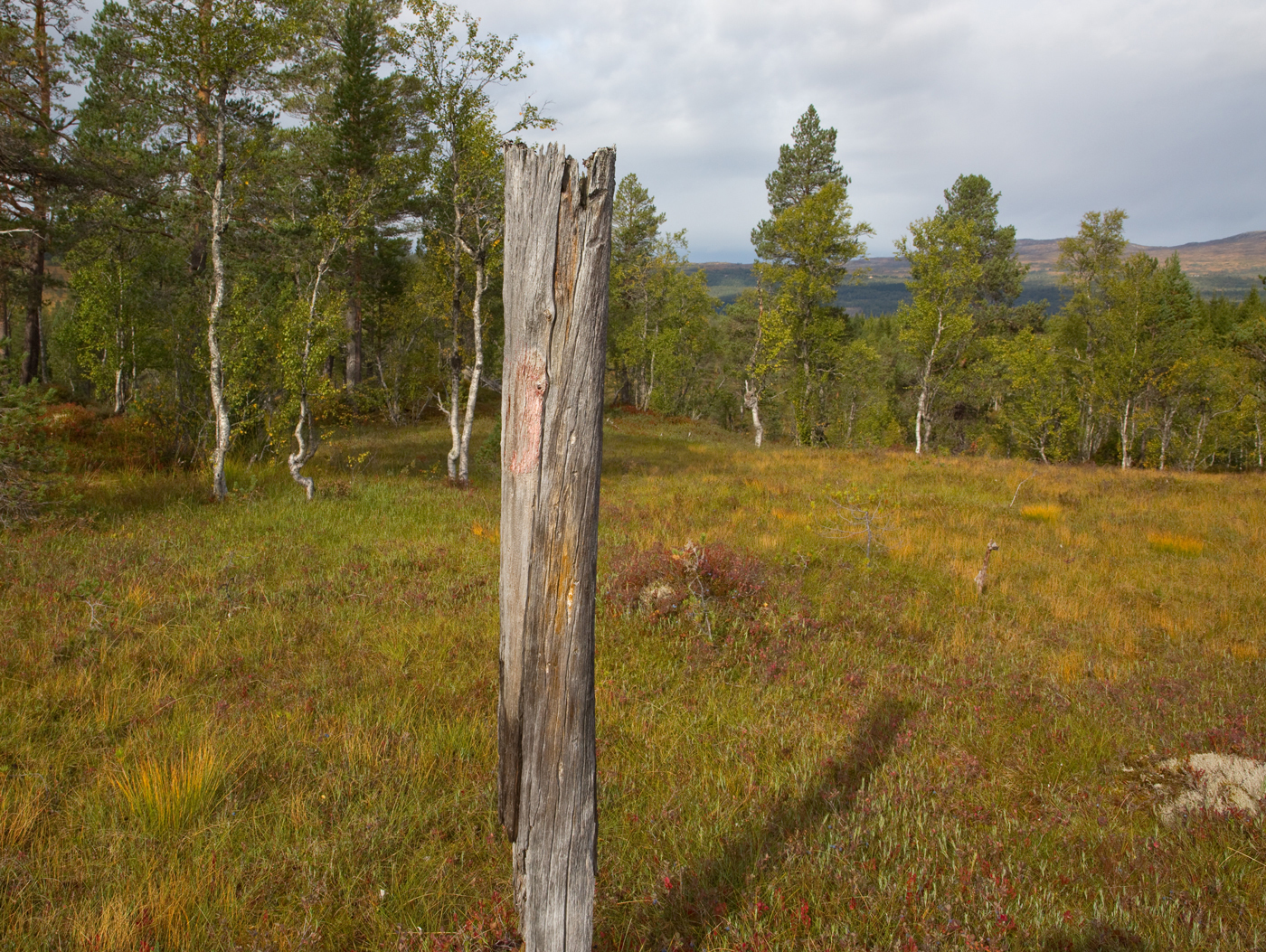 180914i-rødmerke.jpg