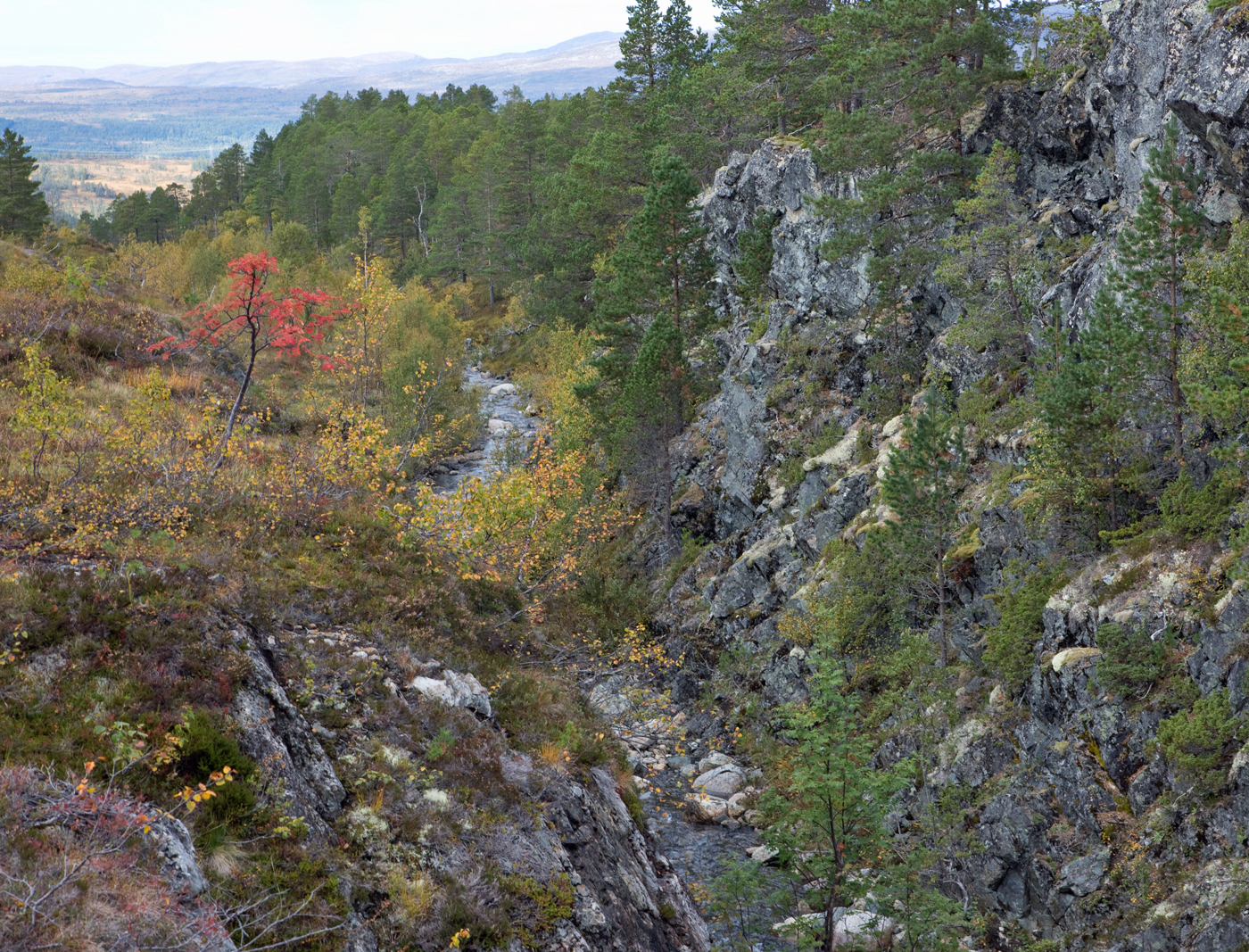 180914p-Litlbøllu.jpg