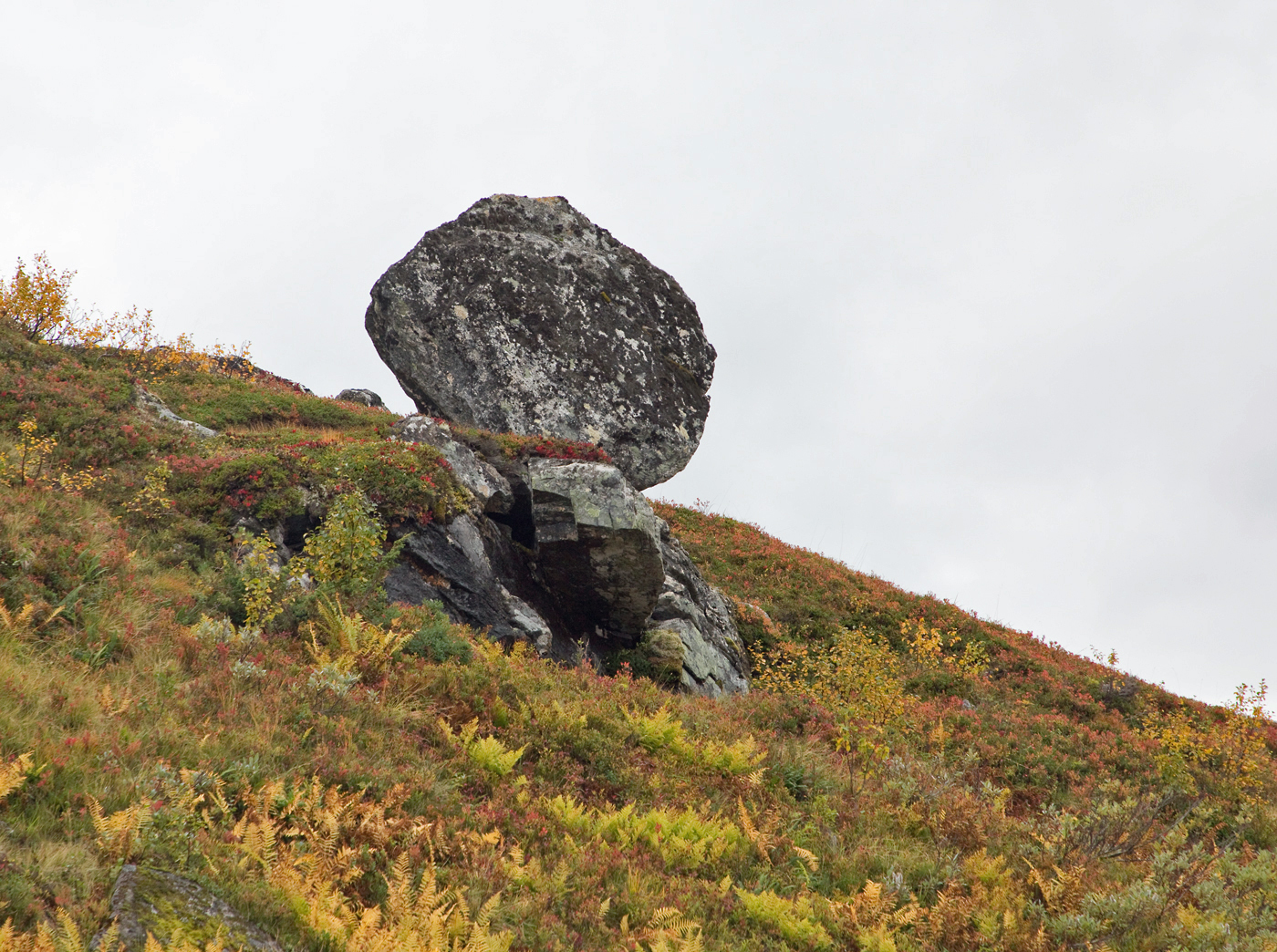 180920i-stein.jpg
