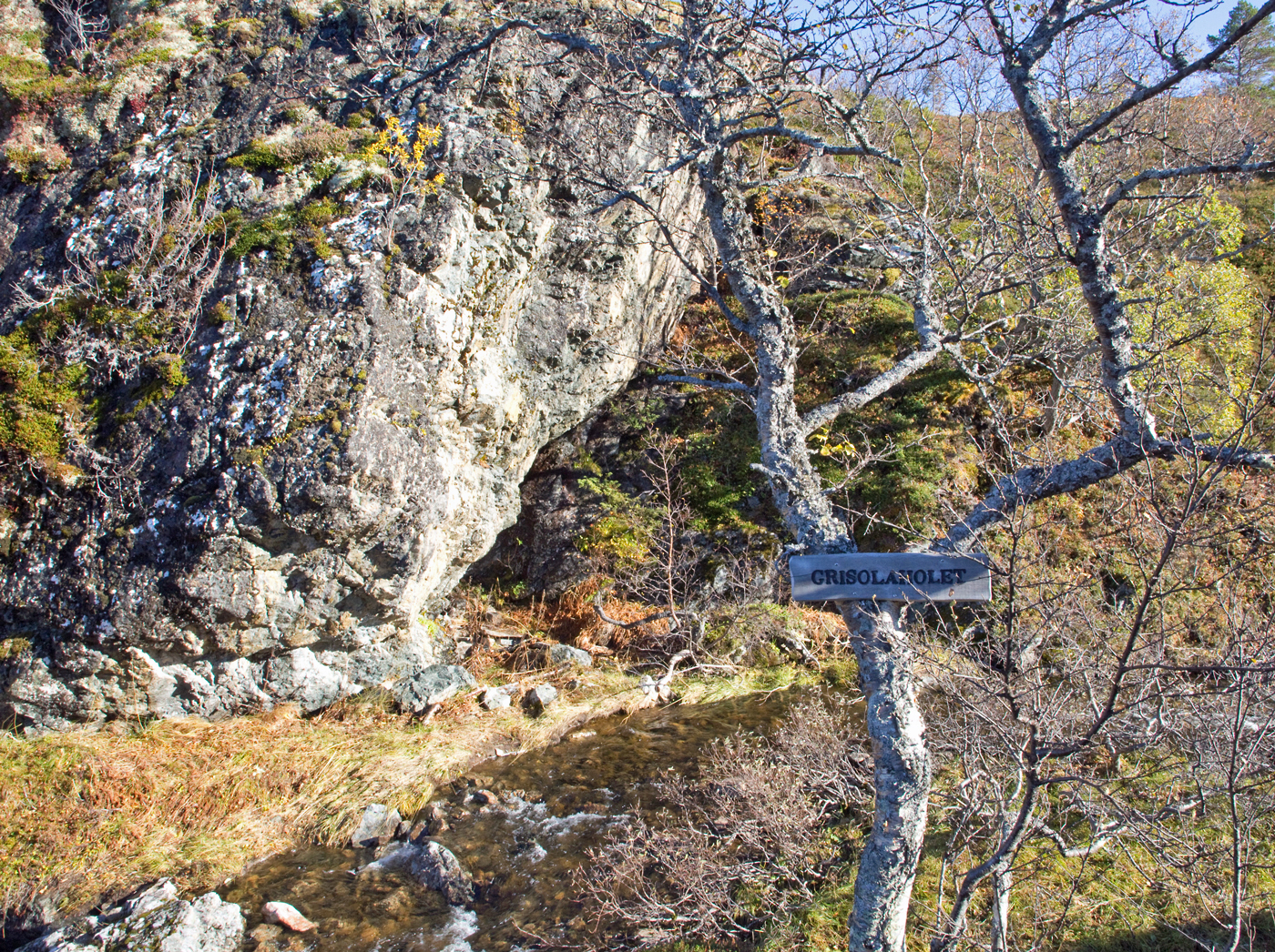181005f-Grisolaholet.jpg