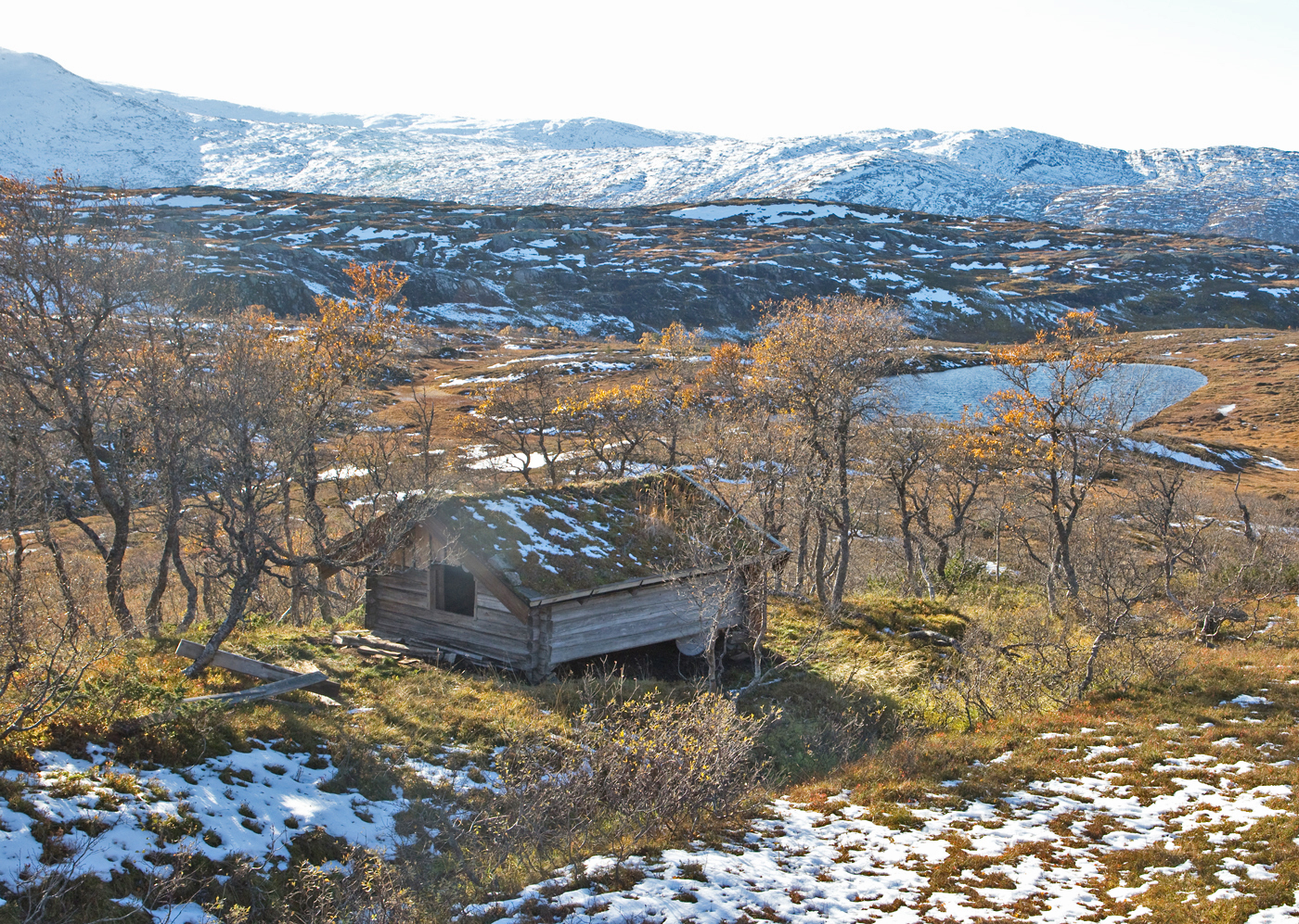 181005n-høyløe.jpg